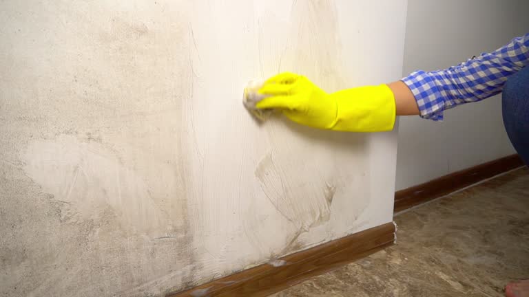 Best Mold-Related Health Consultation  in Newport, OH